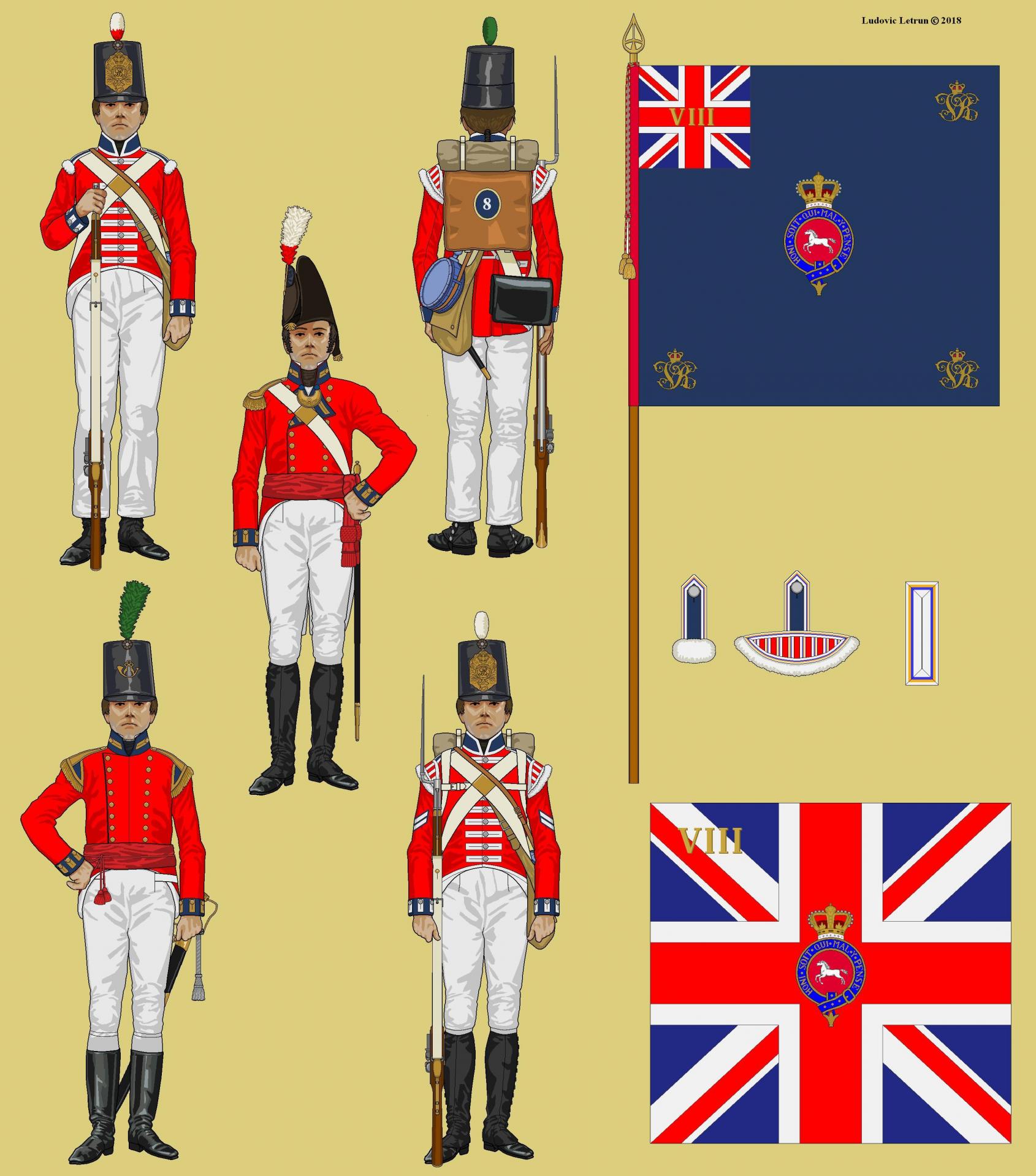 Campagne d egypte 8th regiment of foot